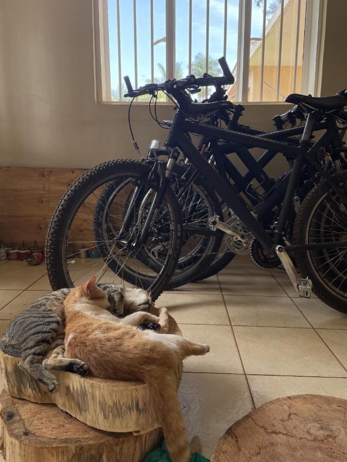 Jinja Backpackers Hostel Εξωτερικό φωτογραφία