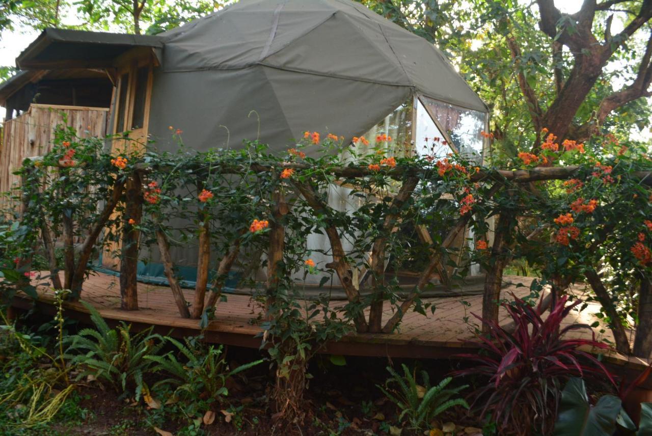 Jinja Backpackers Hostel Εξωτερικό φωτογραφία